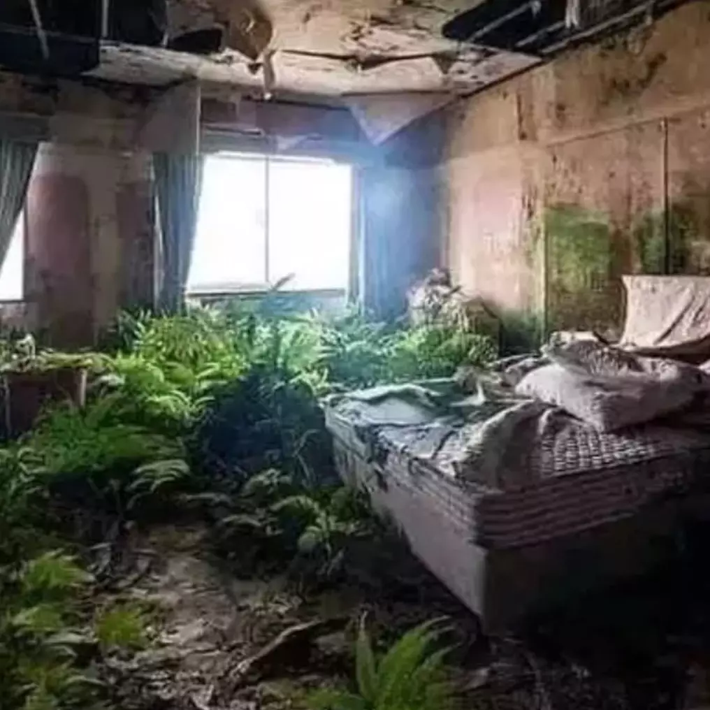 Definisi menyatu dengan alam, 13 desain kamar bernuansa asri ini penampakannya bikin tepuk jidat