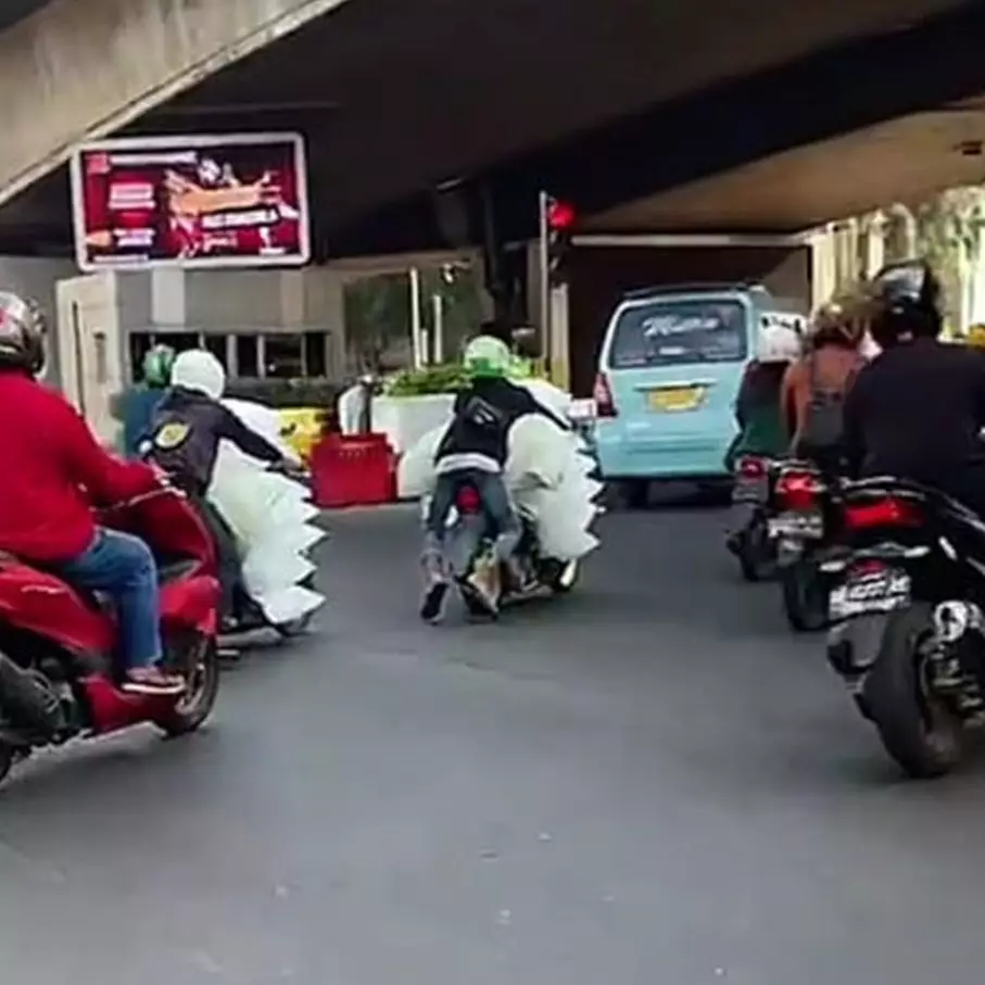 Mau ketawa tapi kasihan juga, momen driver ojek online bawa tumpukan es batu ini nyeleneh pol