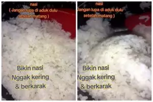 Trik menyimpan nasi di rice cooker agar tak kering dan berkerak, cukup pakai 1 alat dapur