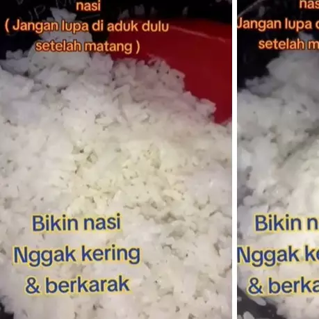 Trik menyimpan nasi di rice cooker agar tak kering dan berkerak, cukup pakai 1 alat dapur