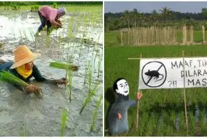 13 Potret kocak kelakuan petani saat musim tanam ini malah absurd, menghibur diri saat panas-panasan