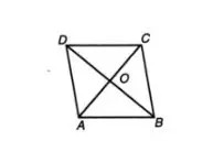 Rumus keliling belah ketupat dan contoh soal © 2023 brilio.net