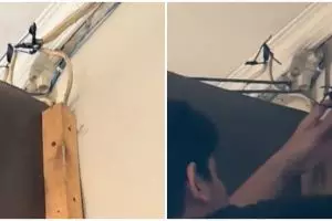 Bingung listrik rumah boros ternyata dicuri tetangga, momen pembongkaran kabelnya bikin geleng kepala