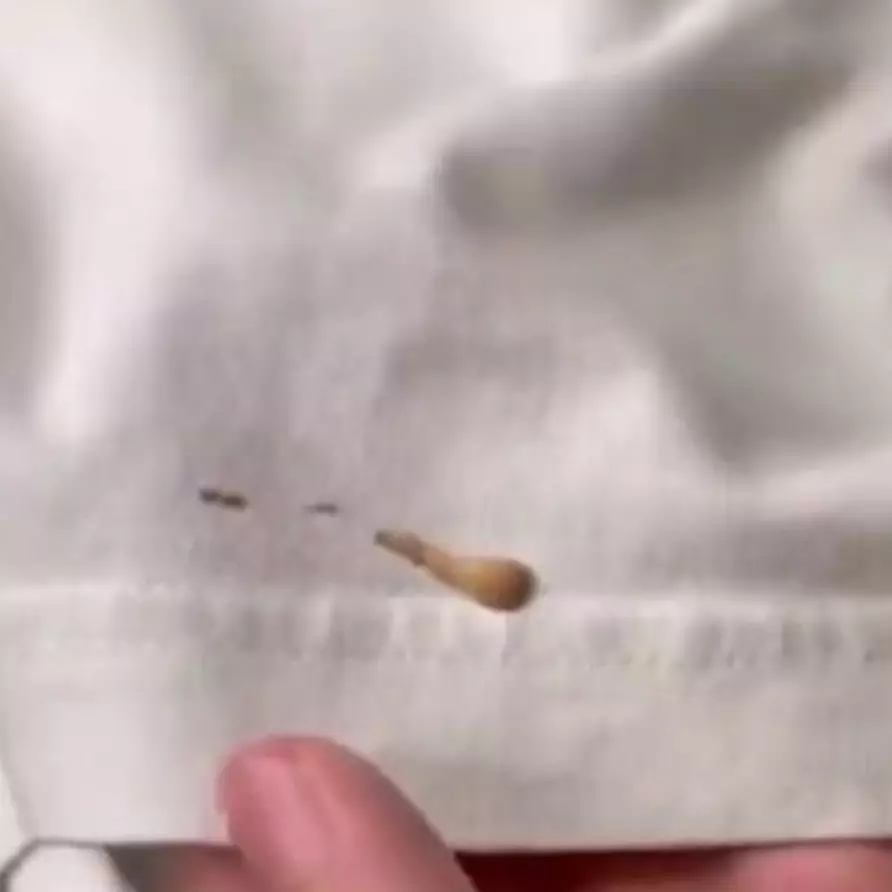 Tak perlu direndam pakai pemutih, ini trik simpel hapus noda foundation pada baju dengan 1 bahan