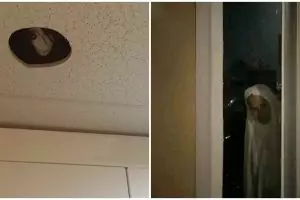 11 Potret kocak kayak ada yang ngintip ini bikin merinding, yang penakut mending skip aja