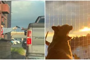 11 Potret lucu kebetulan dijepret dari samping ini menipu mata, dilihat dua kali baru paham