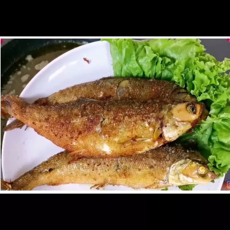Trik bikin bandeng presto lezat, tulangnya lunak, dan bentuknya utuh cuma tambahkan 1 jenis daun