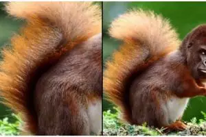 11 Potret kocak editan tebak-tebakan gambar hewan ini jawabannya kocak nggak ketebak