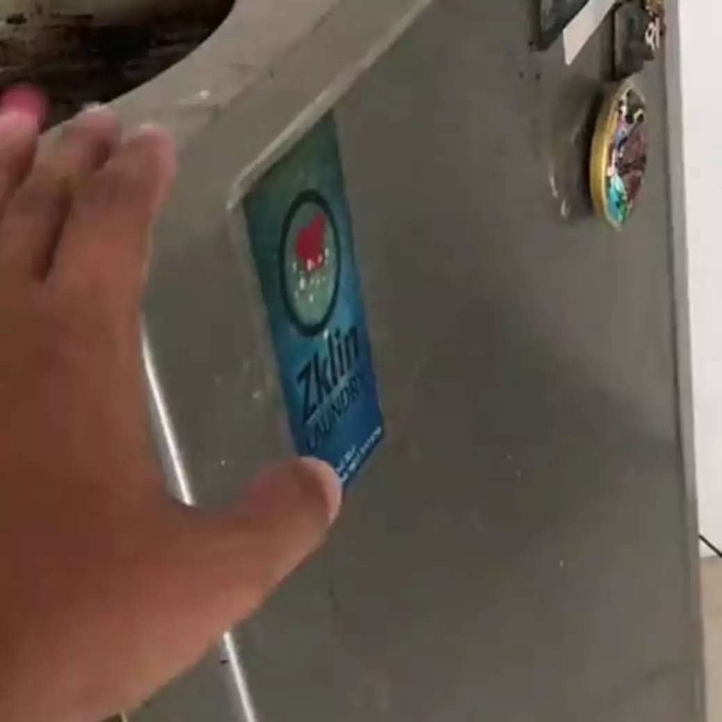 Penampakan dalam kulkas berisi daging kurban ditinggal dalam keadaan mati 1 tahun ini bikin geli abis