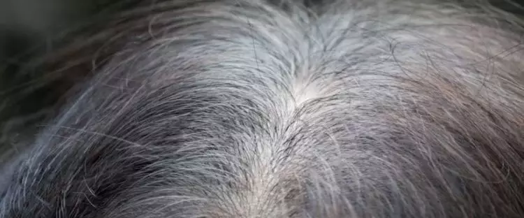 Tanpa tambahan jintan, ini trik samarkan uban dengan pewarna rambut alami dari 1 jenis bahan minuman