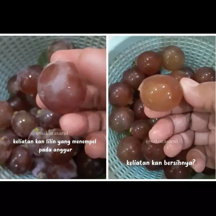Cuma butuh 5 menit, begini trik cepat menghilangkan lapisan lilin pada anggur pakai 2 bahan dapur