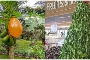 11 Potret kocak penampakan nyeleneh di pohon ini bikin dahi berkerut, ada-ada aja warga +62