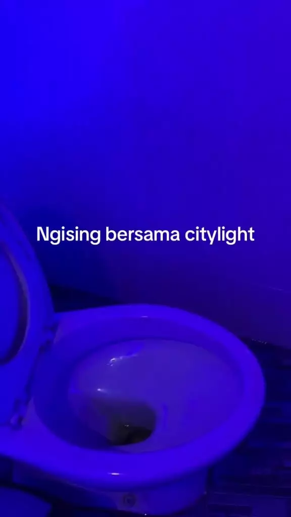 Toilet pemandangan citylight © TikTok