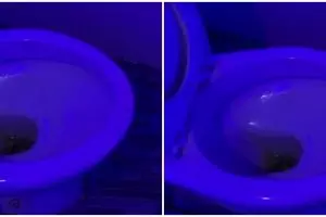 Toilet di atas gedung ini viewnya cakep banget, buang hajat bisa lihat pemandangan seisi kota