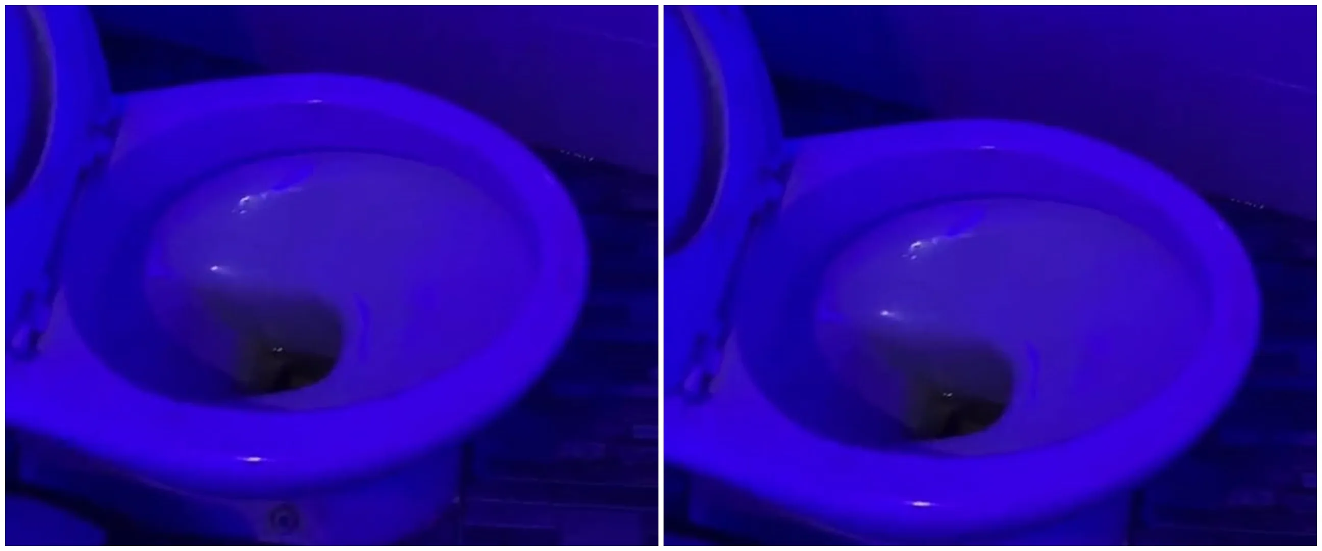 Toilet di atas gedung ini viewnya cakep banget, buang hajat bisa lihat pemandangan seisi kota