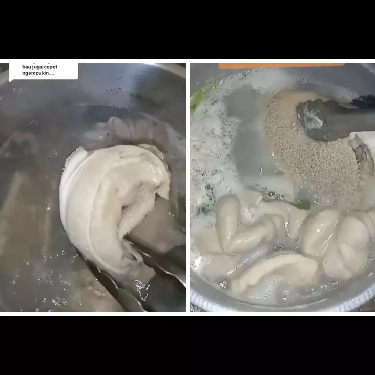 Cukup pakai 1 bahan dapur, begini cara merebus babat sapi agar semakin putih, empuk, dan bebas bau