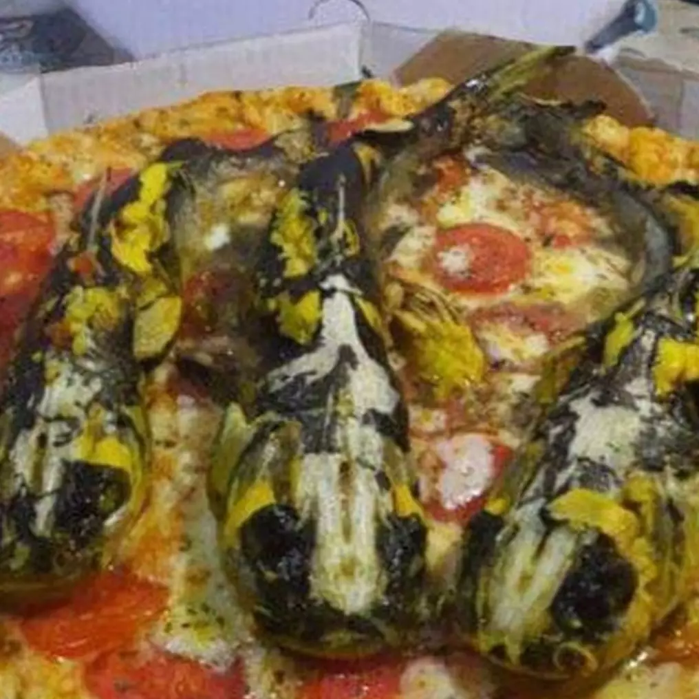 Selain pakai nasi, 15 potret kocak cara orang makan pizza ini nggak habis thinking