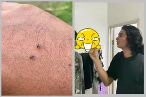 Bukan dengan kopi, aksi pria menangkap nyamuk ini antimainstream dan ampuh cuma pakai 1 alat dapur