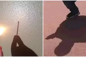 11 Potret kocak bayangan beda dari obyek aslinya ini bikin mata kedip berkali-kali, bentuknya absurd