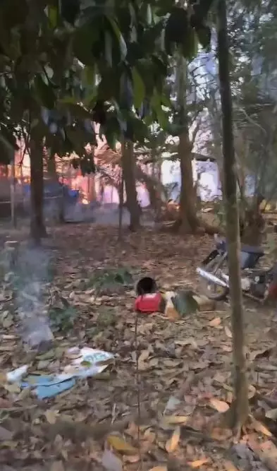 momen pria kabarkan info kebakaran TikTok