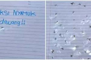 Kelakuan absurd wanita koleksi nyamuk ini bikin tepuk jidat, disebut punya dendam kesumat