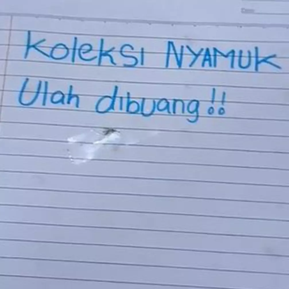 Kelakuan absurd wanita koleksi nyamuk ini bikin tepuk jidat, disebut punya dendam kesumat
