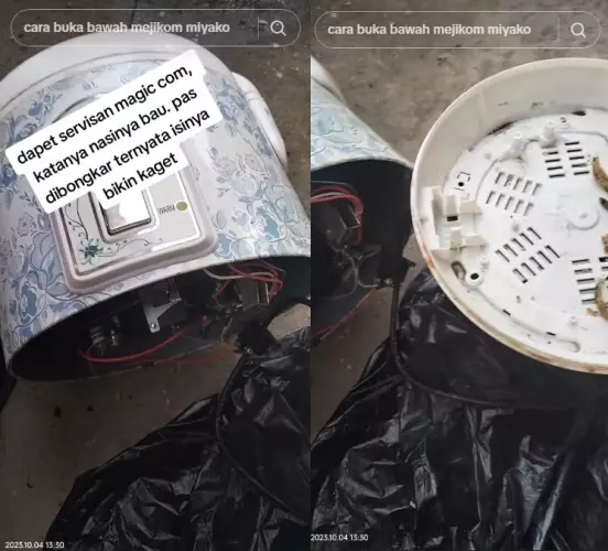 magic com jadi kandang cicak © TikTok