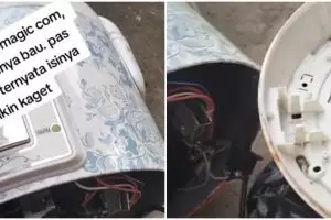 Tukang diminta benerin magic com pas dibuka ternyata jadi kandang bangkai cicak, potretnya bikin mual