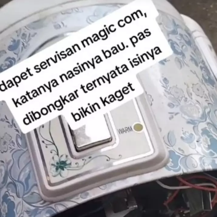 Tukang diminta benerin magic com pas dibuka ternyata jadi kandang bangkai cicak, potretnya bikin mual