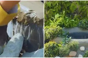 Tak perlu pakai pondasi, begini cara bikin kolam mini untuk taman rumah yang estetik dari barang bekas