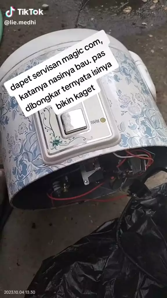 Cicak di dalam magicom © TikTok