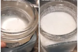 Tak perlu ditambah rempah, ini trik ampuh mengusir semut di toples gula