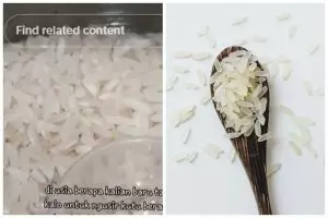 Bukan pakai cabai atau daun salam, ini trik mengusir kutu beras mengandalkan 1 bahan dapur