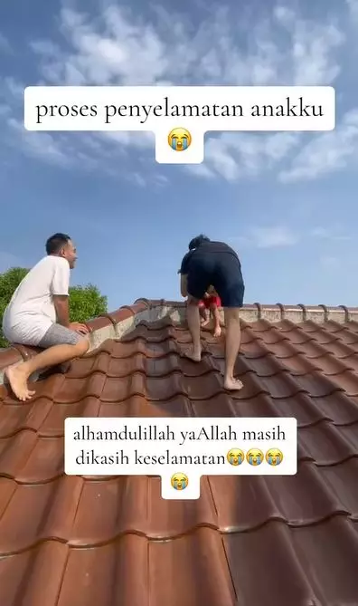 momen bocah naik atap rumah cari ayam TikTok momen bocah naik atap rumah cari ayam TikTok