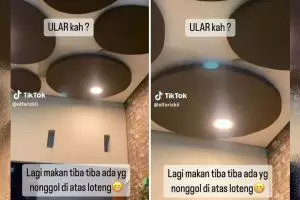 Disangka ular, benda dalam atap rumah ini bikin damkar kaget pas tahu aslinya
