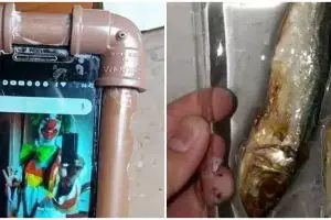 13 Potret kocak desain nyeleneh casing HP ini bentuknya antimainstream abis, tertarik beli?