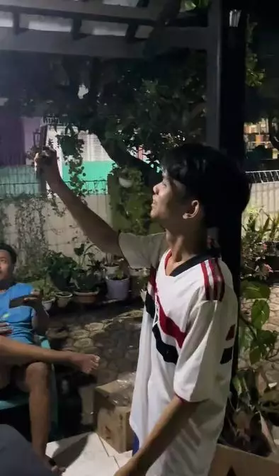 momen kocak cowok kendalikan laron TikTok momen kocak cowok kendalikan laron TikTok