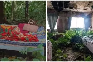 Usung konsep nuansa alam, 11 potret kamar ini penampakannya bikin geleng kepala