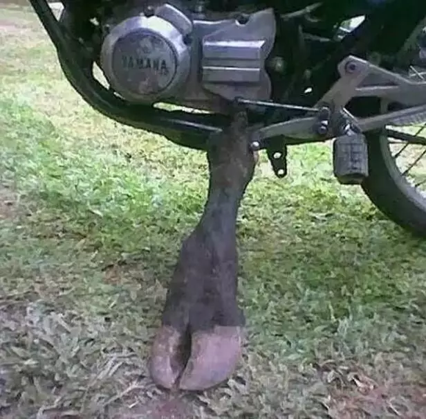 Potret lucu standar motor bentuknya anti mainstream Berbagai sumber Potret lucu standar motor bentuknya anti mainstream Berbagai sumber