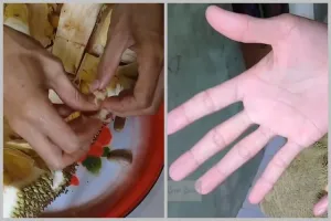 Tanpa daun jambu biji, ini cara menghilangkan getah nangka di tangan pakai 2 bahan dapur