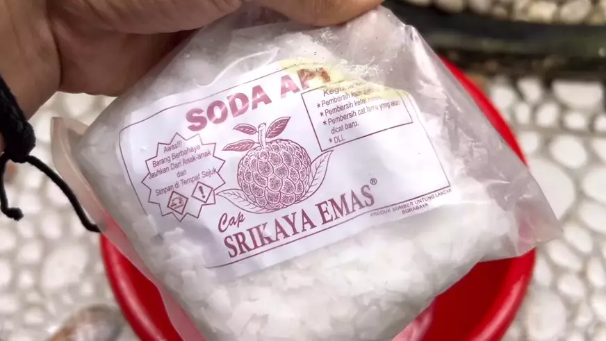 bersihkan lumut di teras rumah © YouTube