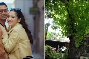 Penampakan rumah pertama 9 seleb, pemandangan apartemen Maia Estianty bak di New York