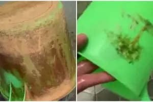 Tanpa diberi detergen, ini cara bersihkan gayung buluk jadi glowing bak baru pakai 1 jenis cairan