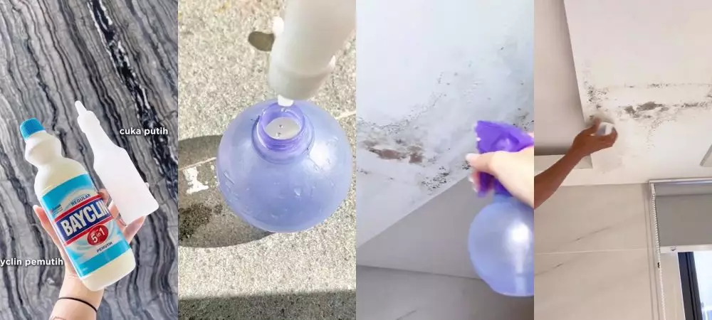 trik hilangkan jamur di plafon yang dicat warna putih © berbagai sumber trik hilangkan jamur di plafon yang dicat warna putih © berbagai sumber