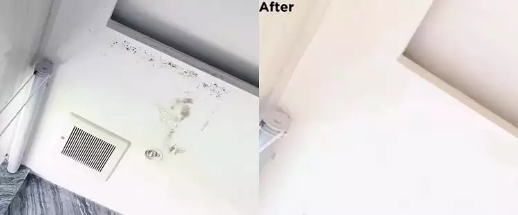 Cukup tambah 1 bahan dapur, ini trik hilangkan jamur di plafon yang dicat warna putih