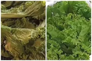 Jangan dibuang, ini cara kembalikan sayur layu jadi segar bak baru dipetik cukup tambah 2 bahan dapur