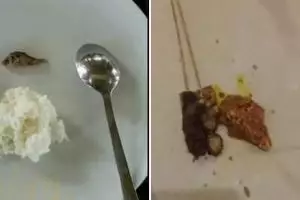 Tidak ramah di lambung, 11 potret kocak porsi diet ini cuma bikin nyangkut di gigi