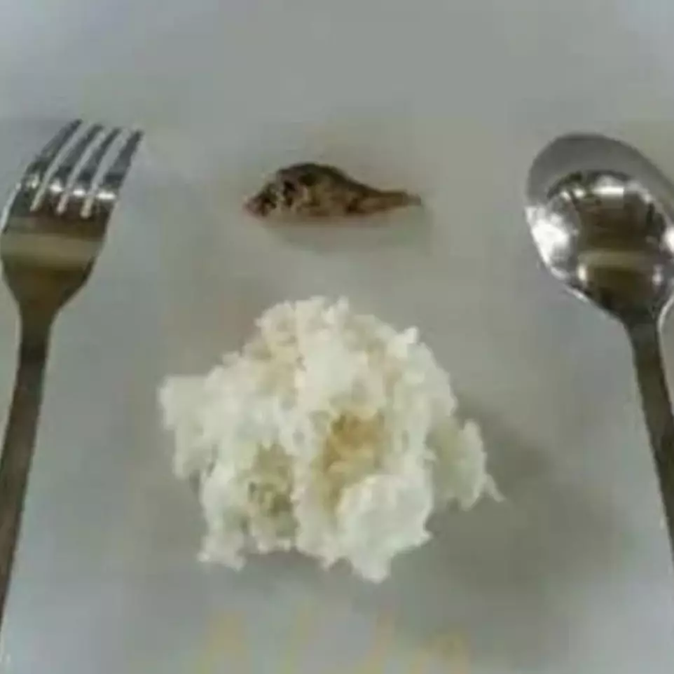 Tidak ramah di lambung, 11 potret kocak porsi diet ini cuma bikin nyangkut di gigi