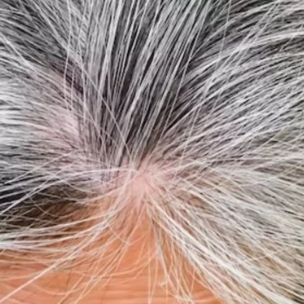 Tak cuma pakai daun pepaya, ini trik cegah uban tumbuh kembali dengan tambahan 1 jenis tanaman herbal