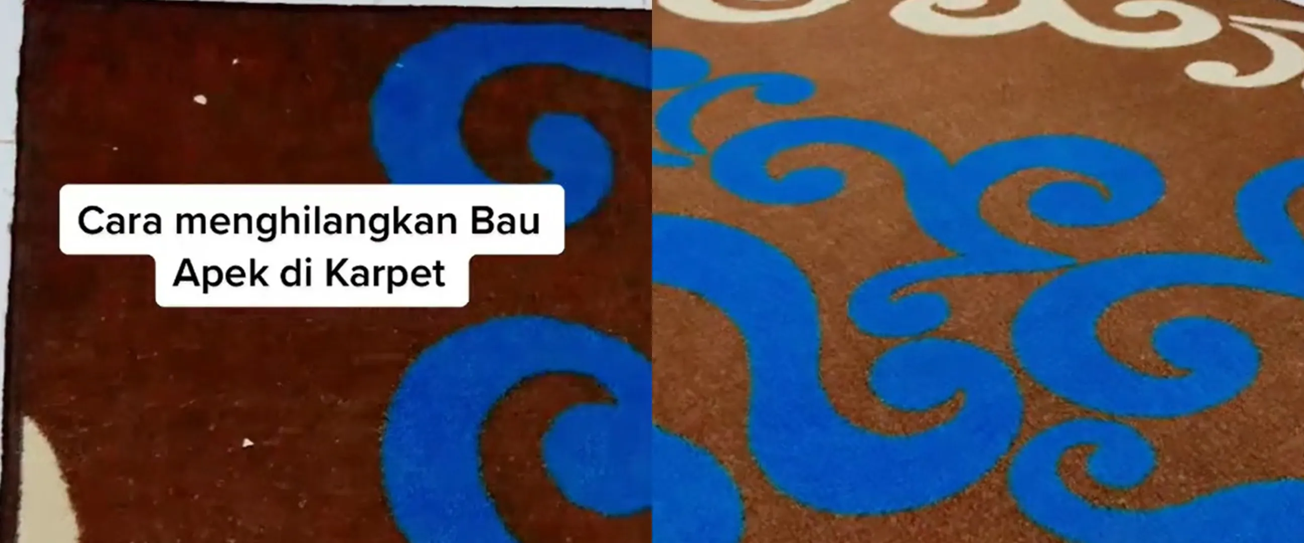 Tanpa dibasahi air, ini trik bersihkan karpet bau apek cuma andalkan 1 bahan kue